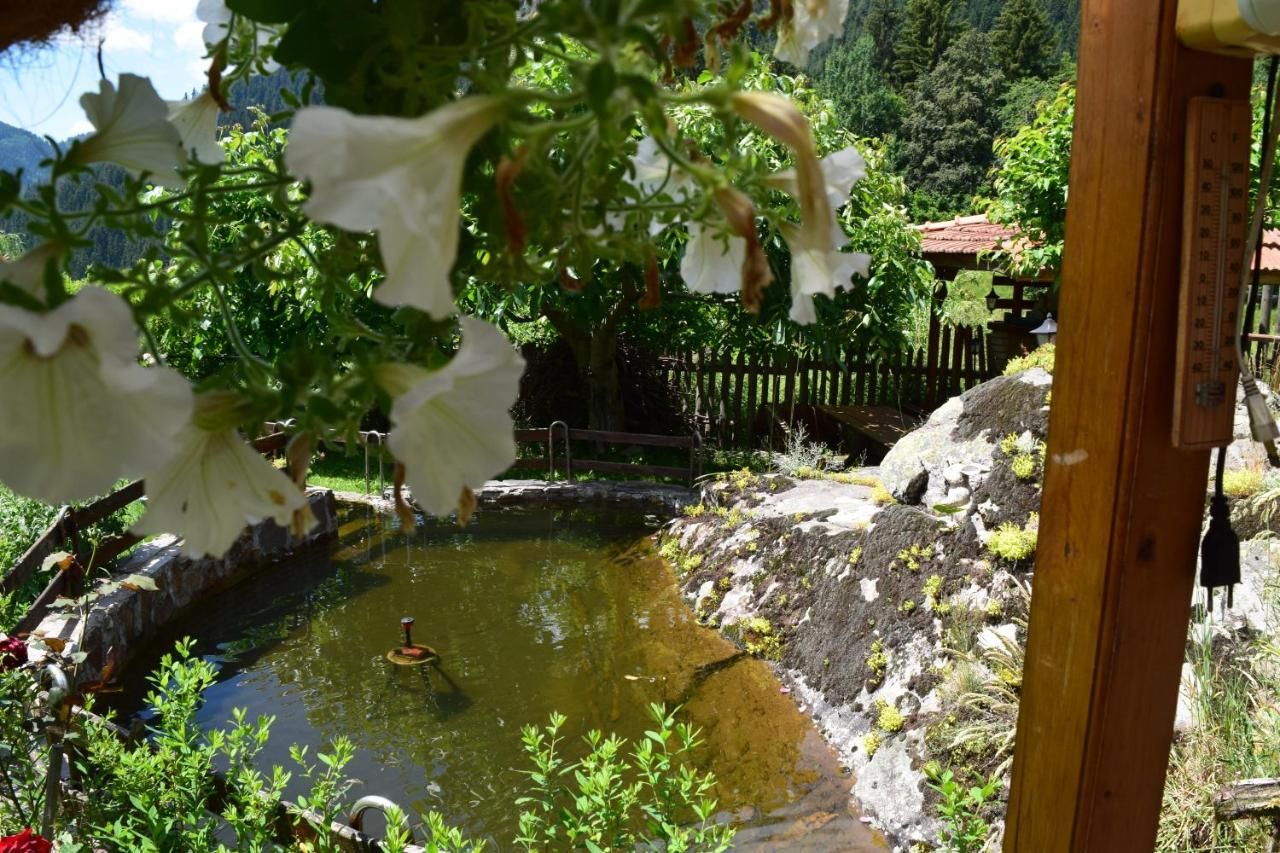 Дома для отпуска Villa Kabasanov Смолян-13