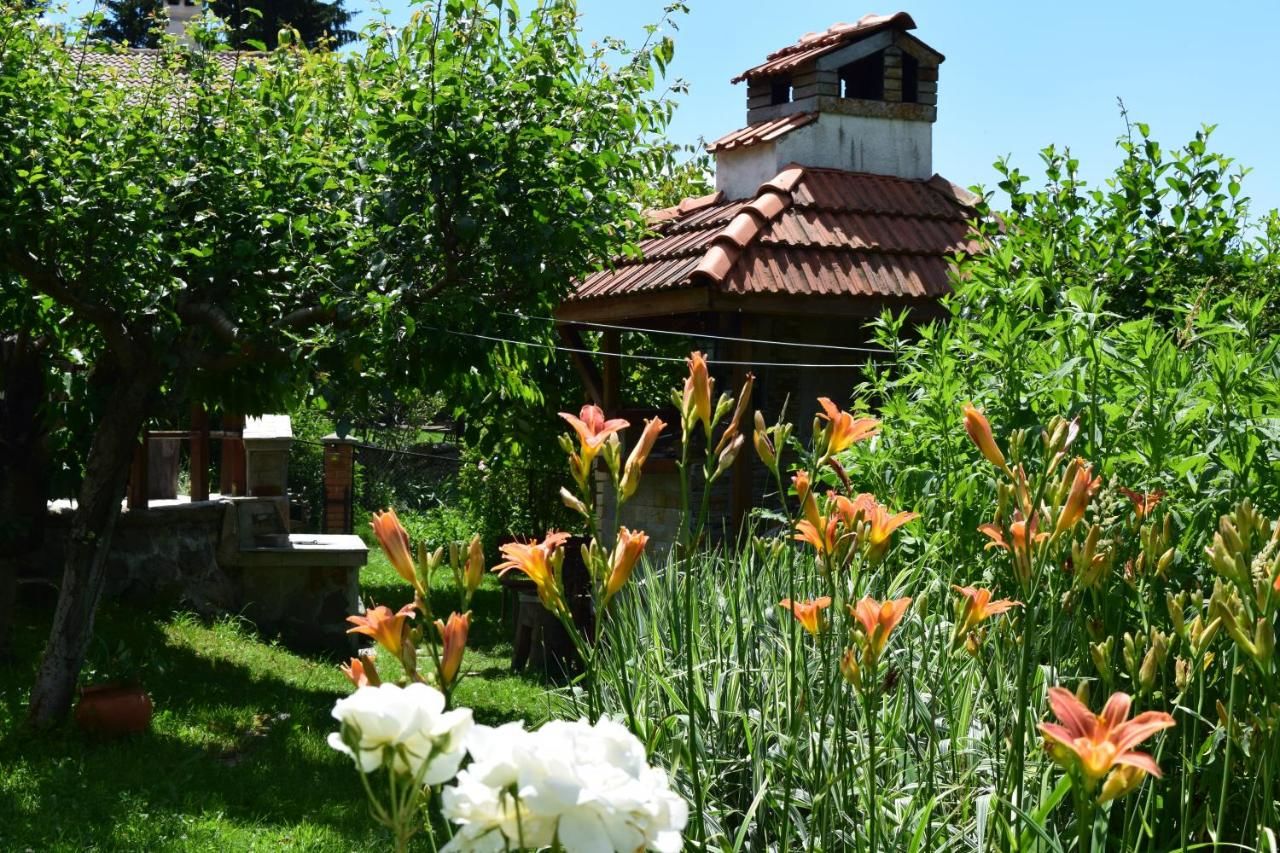 Дома для отпуска Villa Kabasanov Смолян-28