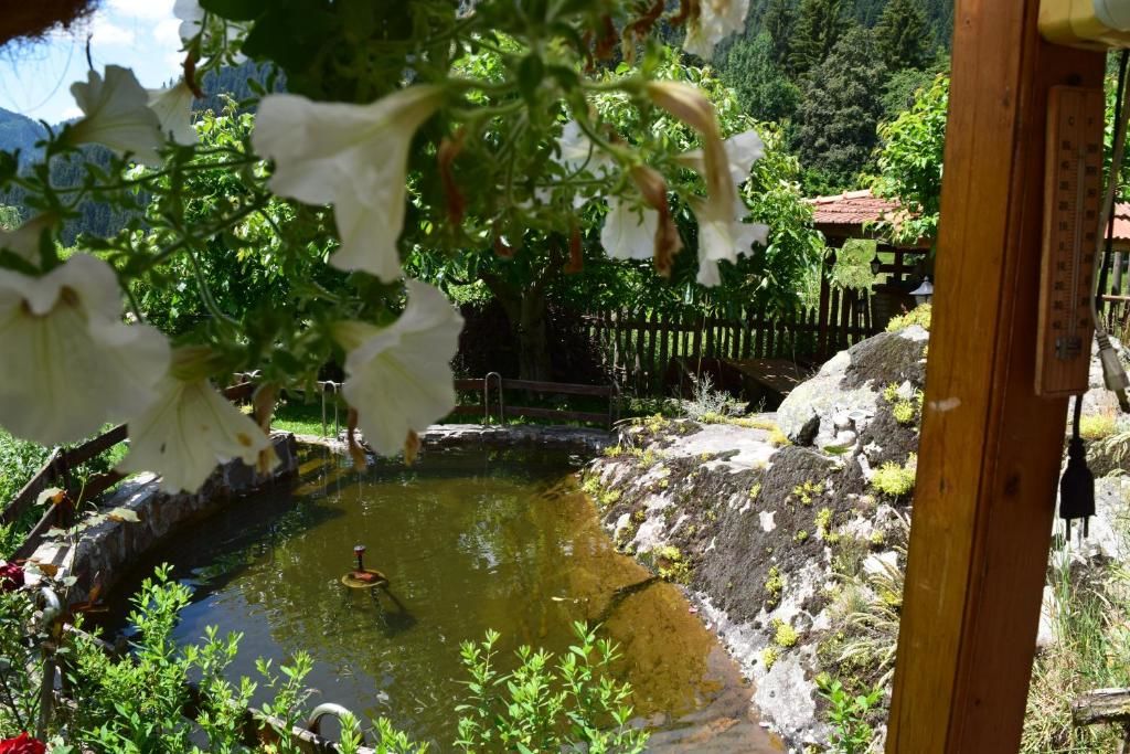 Дома для отпуска Villa Kabasanov Смолян-46