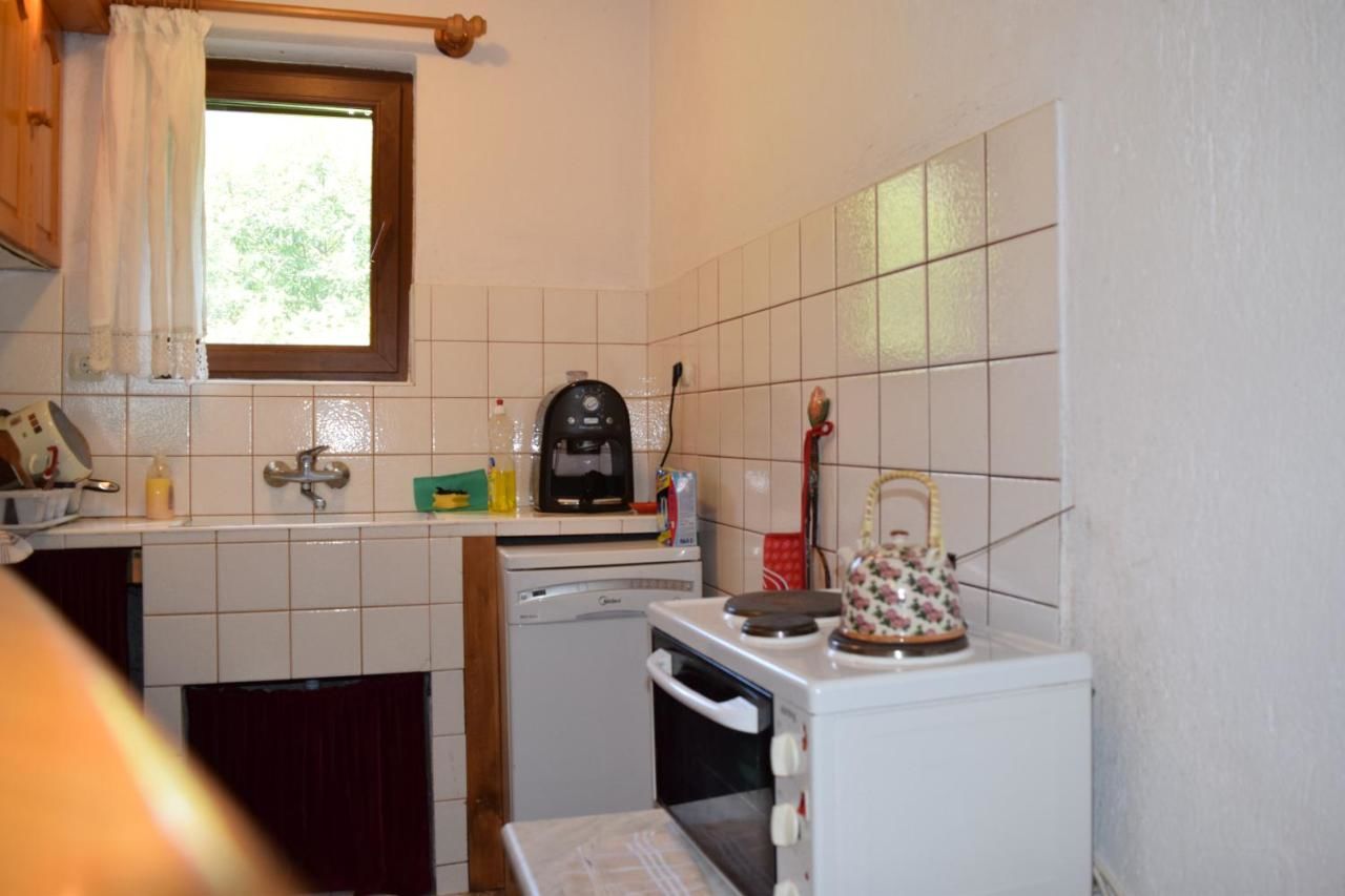 Дома для отпуска Villa Kabasanov Смолян-9